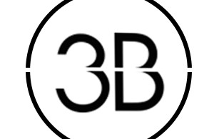 3b logo stenc